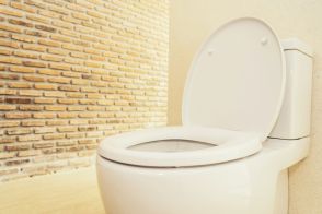 トイレを使用後、ずっと「大」で流しています。「小」のほうが水の節約になると分かっているのですが衛生的に大丈夫ですか？