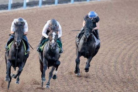 【関屋記念】ロジリオンが１週前追いでラスト１ハロン１１秒５　永野猛蔵騎手が初コンタクトし好感触