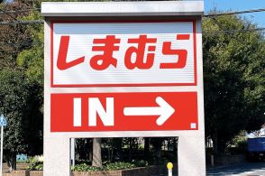 【しまむら】買い物からレジャーまで大活躍！979円の「大容量バッグ」大荷物でもへっちゃらです《購入レビュー》