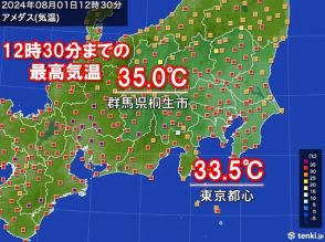 関東　すでに猛暑日の所も　午後は所々で体温並みの暑さ　「危険な暑さ」はいつまで?