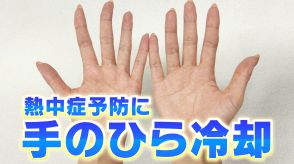 40℃超が続出…8月は猛暑の“ヤマ場”となるところも… 熱中症対策に効果的な「手のひら冷却」とは？専門家に聞いた【MBSお天気通信】