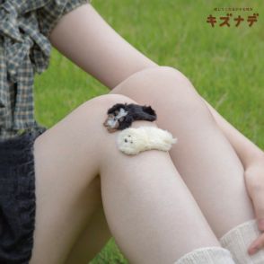 モフモフ大型犬の絆創膏！？「ふわふわで傷も心も癒す」優しさあふれるハンドメイドに反響「撫でたくなる」