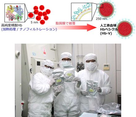 人工赤血球製剤で離島やへき地も救え 奈良県立医大病院が治験を本格化へ