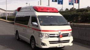 7月都内で出動した救急車が9万台超で過去最多に　熱中症の救急搬送が多かったことが要因　東京消防庁