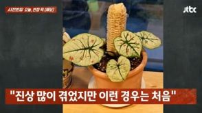 韓国「失われたマナー」…塾年男女、とうもろこしの食べかす、植木鉢にさして何をしたかった？