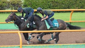 【札幌新馬戦】アルマヴェローチェ　文句なしの動き　黒野助手「順調に調整できている」