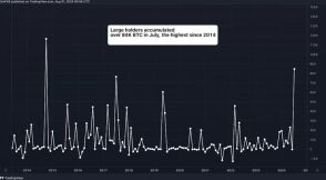 ビットコインクジラ、7月に54億ドル相当のBTCを積み増し