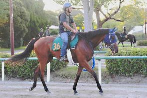 【今週の注目新馬】フランケル産駒の良血がルメールとタッグ　カネラフィーナが土曜新潟でデビューＶへ