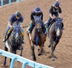 【今週の注目新馬】超良血馬カネラフィーナ　３頭併せで余力十分の動き／土曜新潟４Ｒ