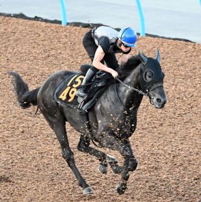 ロジリオン１週前追い11秒５「伸びも良かった」初コンビの永野騎手も好感触／関屋記念