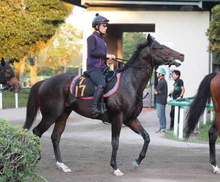 【レパードＳ】連勝中のソニックスターは５枠８番　ミッキーファイトは１枠１番　枠順決定