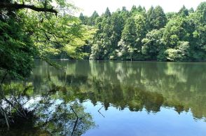 古代沼に池、沢、泉も点在する「高清水の岡」、奈良時代から湧き続ける水脈の謎　秋田　行ってみたい　水のある風景