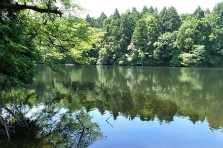 古代沼に池、沢、泉も点在する「高清水の岡」、奈良時代から湧き続ける水脈の謎　秋田　行ってみたい　水のある風景