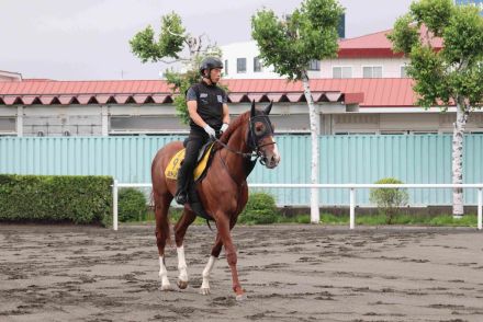 【エルムＳ】重賞３勝目狙うミトノオーは５枠７番　武豊騎乗の実績馬ドゥラエレーデは６枠１０番　枠順決定