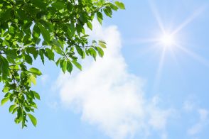 【速報】東北北部で梅雨明け　全国で梅雨が終わり夏本番へ