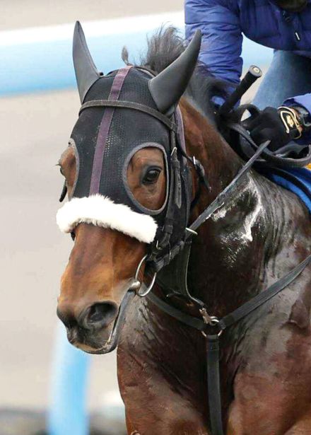 【札幌日経オープン】８歳馬サトノエルドールが不気味　陣営「１回使って良くなっています」