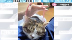 「良さを知ってしまった笑」 美顔ローラーでマッサージされる猫に「顔小さくなるかも！」「ニャンで止めるにゃ」と反響