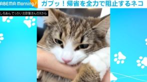 行かにゃいでぇ！ 飼い主の実家帰省を全力で阻止する猫 「愛が深い」「甘えん坊さんだぁ」と話題に