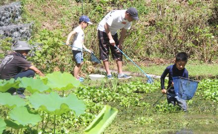 水生生物、親子で観察　三重・多気町　丹生の大師の里メダカ池で