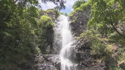 身も心も涼やかに…「滝」のそばで夏のひとときを　香川・三豊市【いまココ！ナビ】