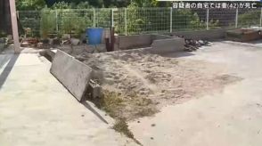 親子２人を車で何度もはねた男を現行犯逮捕　男の自宅では妻が血を流し死亡「妻を傷つけた」　広島