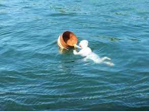 石川県輪島市で海女の“もずく漁”解禁も…現役海女が現状を吐露「海に潜れたことはうれしかったけど…」