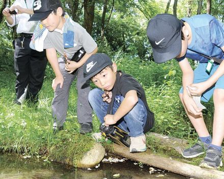 夏休み 自然は発見の連続だ！ 松本市内で観察会