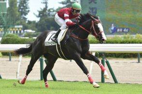 シンフォーエバーが逃げ切り勝ち　藤田晋オーナー×森秀厩舎のタッグは新馬２連勝【新潟４Ｒ・２歳新馬】