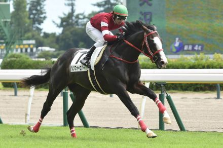 シンフォーエバーが逃げ切り勝ち　藤田晋オーナー×森秀厩舎のタッグは新馬２連勝【新潟４Ｒ・２歳新馬】