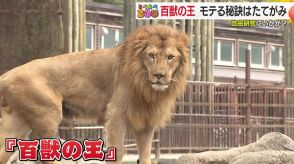 動物園の新たな魅力!夏休みの自由研究にぴったりな動物たちの秘密　可愛らしい赤ちゃんの誕生から意外な生態まで【愛媛発】