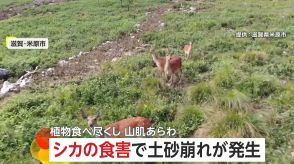 “シカの食害”で土砂崩れ　山の植物食べ尽くし土むき出しに…2023年から3度目の発生、313人に「緊急安全確保」発令　滋賀・米原市