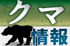 高速道路上でクマの幼獣１頭を目撃　島根県浜田市、浜田インターチェンジ付近