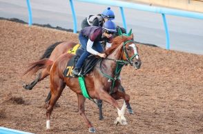 【レパードS】勝っても「何も驚かない」伏兵の1頭　現場からの声に“当然”の背景