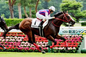 新馬逃げ切りＶの外国産馬ジャスパーディビネは小倉２歳Ｓへ【次走報】