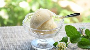 食べ過ぎ注意！アイスクリームと氷菓のエネルギー・糖質・脂質をちゃんと理解している？管理栄養士解説