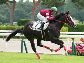 【新潟4R新馬戦】シンフォーエバーが逃げ切りV　森秀厩舎先週から新馬戦出走機会4連勝