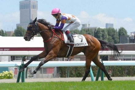 【札幌5R新馬戦】カワキタマナレア剛脚V　杉山佳師「思い入れある血統。芝からいって正解だった」