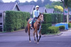 【今日の注目新馬】仕上がり良好ダンツエラン　最終追いで年長馬に１馬身先着／新潟２Ｒ