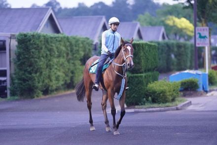 【今日の注目新馬】仕上がり良好ダンツエラン　最終追いで年長馬に１馬身先着／新潟２Ｒ