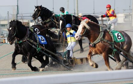 「ばんえい競馬」の馬たちがニンジンパーティーで大喜び！ その開催理由とは？