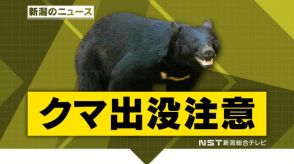 「真正面から小熊が…」1人で山菜取りをしていた５０代女性がクマに襲われ軽傷　【新潟・津南町】