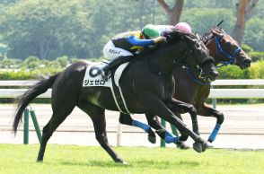 【新潟3R新馬】3億馬ジェゼロ差し切りV　川田「徐々にコントロール性を高めながらつくっていけたら」