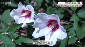 宇治市植物公園　夏の花次々と開花　京都府