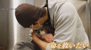 “殺処分ゼロ”へ 犬の譲渡施設　貰い手いない犬を引き取りに　「まずは人間を信頼すること」施設初の里親希望者も