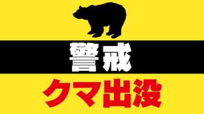 山菜採りをしていた50代女性が体長約1メートルのクマに襲われケガ　被害を受け「クマ出没警戒注意報」を県が発表《新潟》