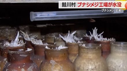 ブナシメジが“ほぼ全滅” 豪雨で工場が浸水被害に　今シーズンの出荷は厳しい状況「このままだと廃業も」【山形発】