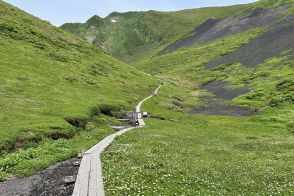 秘境感漂う別世界！　高山植物の宝庫「秋田駒ケ岳」のムーミン谷で初夏の花を愛で、名湯に癒やされる