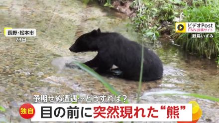 【独自】「こんなに近くに」人気観光地で“親子クマ”に突然遭遇　目の前で…川遊び　観光客20～30人が撮影　長野・松本市