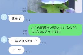 「頭から転げ落ちました」　母から届いた驚きの報告　四半世紀前に育てたアサガオに「すごい素敵」の声