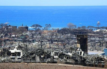 ハワイ・マウイ島山火事、被災者らに約5900億円支払いで基本合意